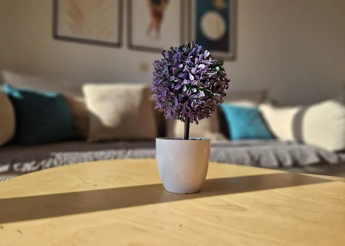 City Apartment Sanja